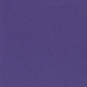 Bazzill Purple pizzazz